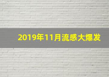 2019年11月流感大爆发