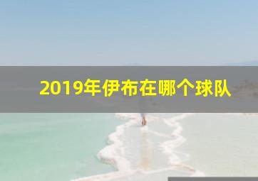 2019年伊布在哪个球队