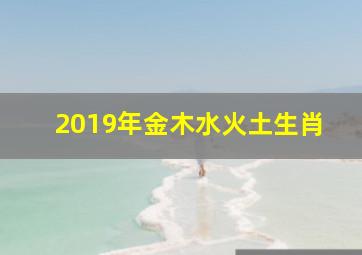 2019年金木水火土生肖