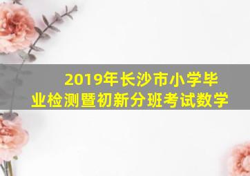 2019年长沙市小学毕业检测暨初新分班考试数学