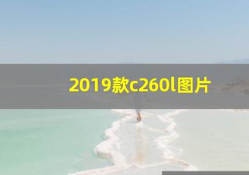 2019款c260l图片