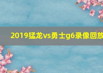 2019猛龙vs勇士g6录像回放