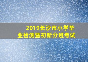 2019长沙市小学毕业检测暨初新分班考试