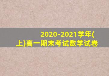 2020-2021学年(上)高一期末考试数学试卷