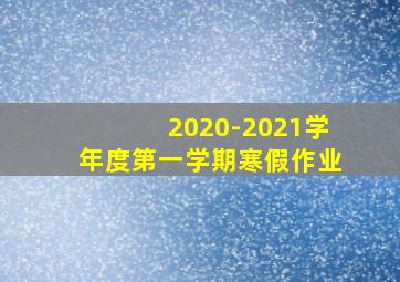 2020-2021学年度第一学期寒假作业