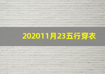 202011月23五行穿衣