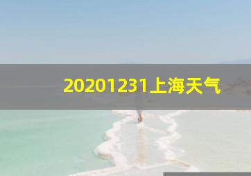 20201231上海天气