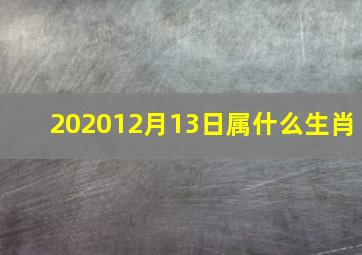 202012月13日属什么生肖