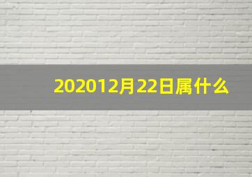 202012月22日属什么