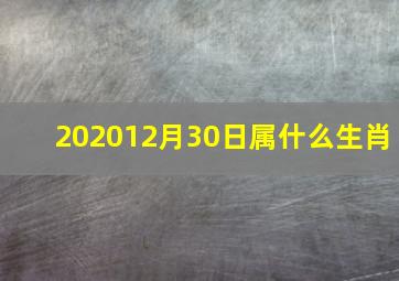 202012月30日属什么生肖