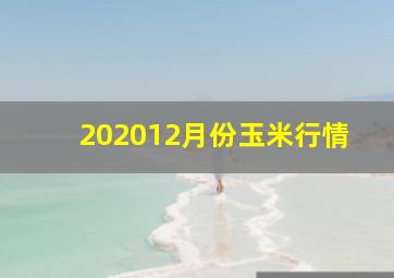 202012月份玉米行情