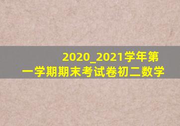 2020_2021学年第一学期期末考试卷初二数学