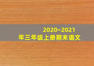 2020~2021年三年级上册期末语文