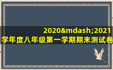 2020—2021学年度八年级第一学期期末测试卷