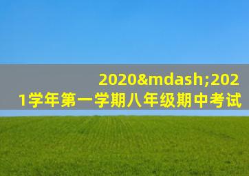 2020—2021学年第一学期八年级期中考试