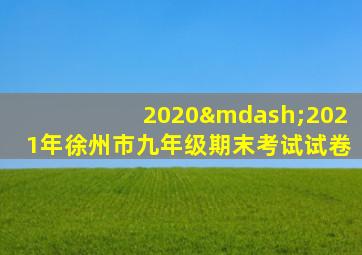 2020—2021年徐州市九年级期末考试试卷