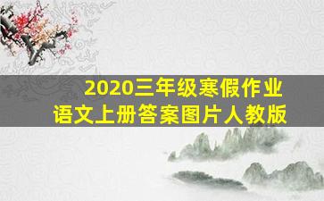 2020三年级寒假作业语文上册答案图片人教版