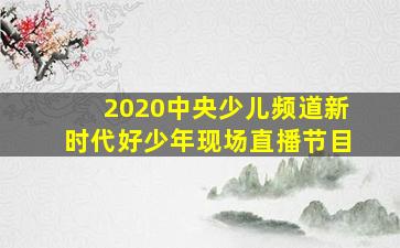 2020中央少儿频道新时代好少年现场直播节目