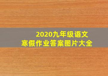 2020九年级语文寒假作业答案图片大全