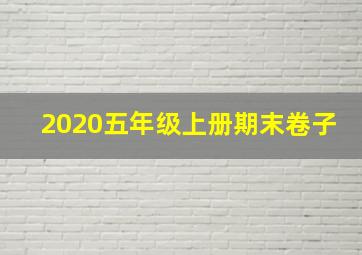 2020五年级上册期末卷子