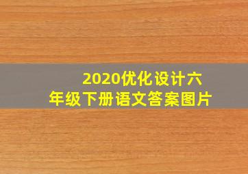 2020优化设计六年级下册语文答案图片