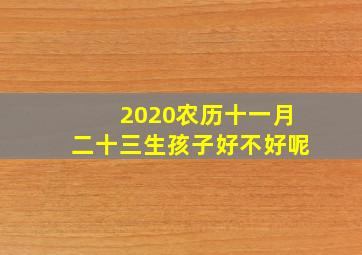 2020农历十一月二十三生孩子好不好呢