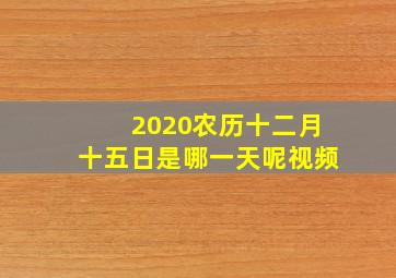 2020农历十二月十五日是哪一天呢视频