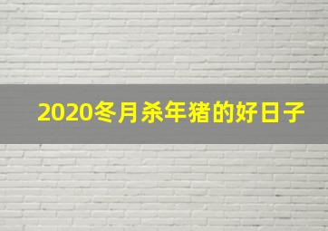 2020冬月杀年猪的好日子