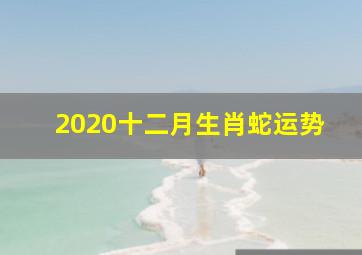 2020十二月生肖蛇运势