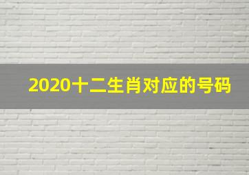 2020十二生肖对应的号码