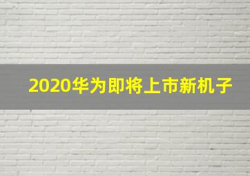 2020华为即将上市新机子