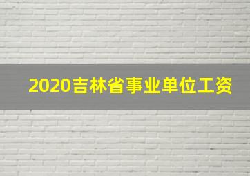 2020吉林省事业单位工资