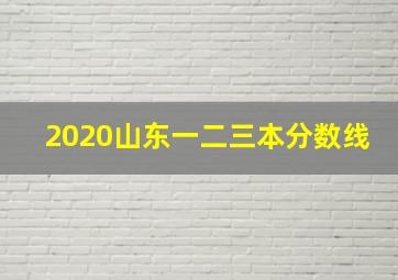 2020山东一二三本分数线