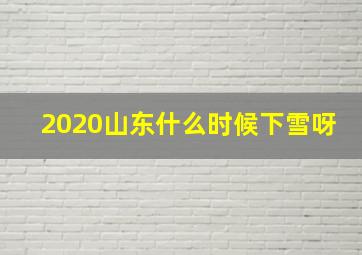 2020山东什么时候下雪呀