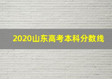 2020山东高考本科分数线