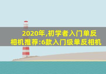 2020年,初学者入门单反相机推荐:6款入门级单反相机