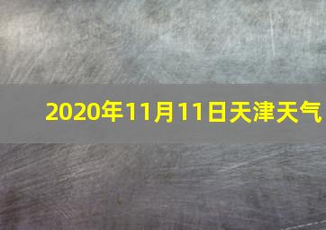 2020年11月11日天津天气