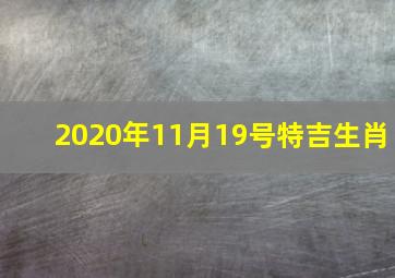 2020年11月19号特吉生肖