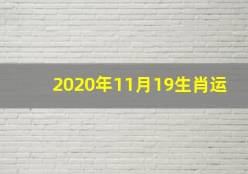 2020年11月19生肖运