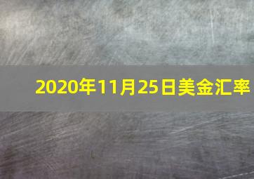 2020年11月25日美金汇率