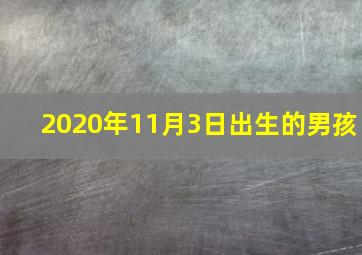 2020年11月3日出生的男孩