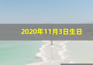 2020年11月3日生日