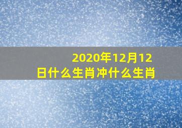 2020年12月12日什么生肖冲什么生肖