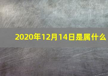 2020年12月14日是属什么