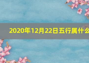 2020年12月22日五行属什么