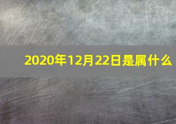 2020年12月22日是属什么