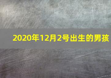 2020年12月2号出生的男孩