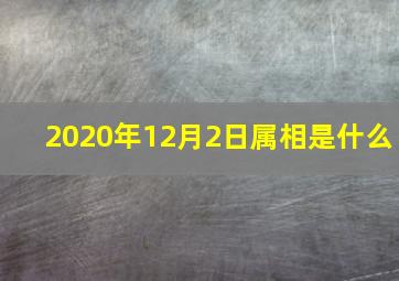 2020年12月2日属相是什么