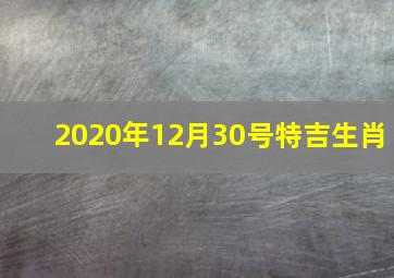 2020年12月30号特吉生肖