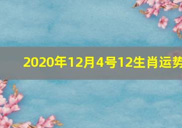 2020年12月4号12生肖运势